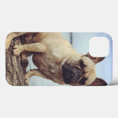 Französischer Bulldog Case-Mate iPhone Hülle (Rückseite (Horizontal))