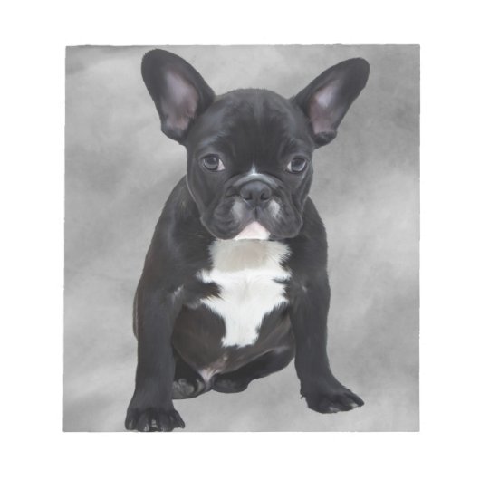 Französischer Bulldog, der Aquarellfarben-Ölgemäld Notizblock (Vorderseite)