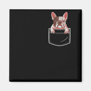 Französischer Bulldog, der gerne in Pocket-Geschen Magnet