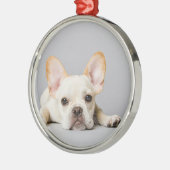 Französischer Bulldog fliegt ab Ornament Aus Metall (Links)