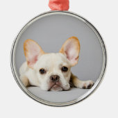 Französischer Bulldog fliegt ab Ornament Aus Metall (Vorne)