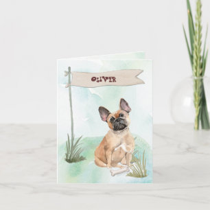 Französischer Bulldog gratuliert New Hund