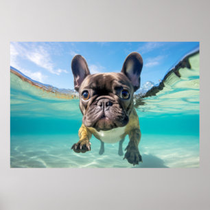 Französischer Bulldog-Hunde-Tierspass Poster