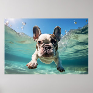 Französischer Bulldog-Hunde-Tierspass Poster