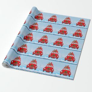 Französischer Bulldog in Auto mit dem Weihnachtsma Geschenkpapier