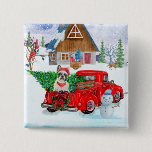Französischer Bulldog in Christmas Delivery LKW Sc Button