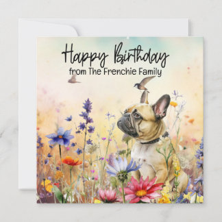 Französischer Bulldog in der Blume Feld Geburtstag