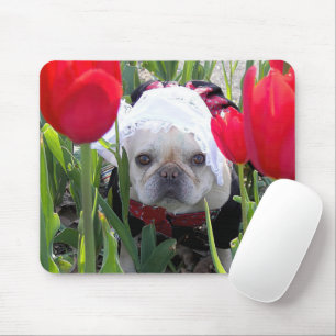 Französischer Bulldog in einem holländischen Tulip Mousepad