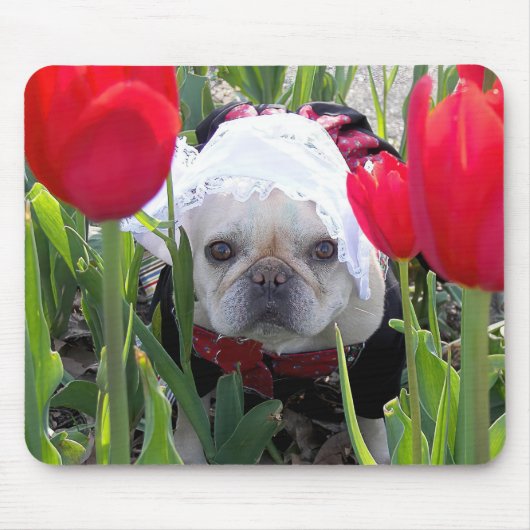 Französischer Bulldog in einem holländischen Tulip Mousepad (Vorne)