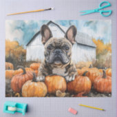 Französischer Bulldog in Pumpkin Patch Decoupage Seidenpapier (Basteln)