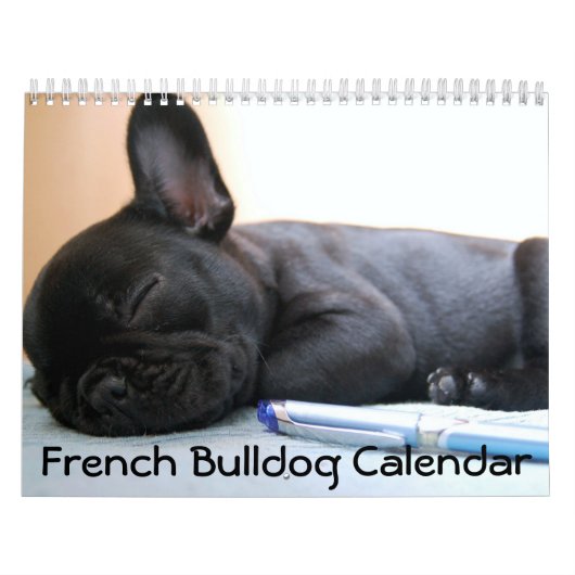 Französischer Bulldog-Kalender 2016 Personalisiert Kalender (Titelbild)