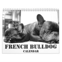 Französischer Bulldog-Kalender 2016 - Schwarz-weiß