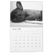 Französischer Bulldog-Kalender 2016 - Schwarz-weiß Kalender (Jan 2027)