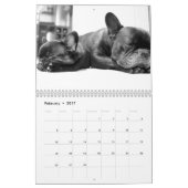 Französischer Bulldog-Kalender 2023 Fotos hinzufüg Kalender (Feb 2017)