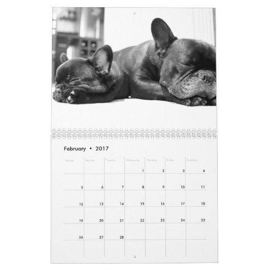 Französischer Bulldog-Kalender 2023 Fotos hinzufüg Kalender (Feb 2017)