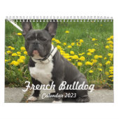 Französischer Bulldog-Kalender 2023 Fotos hinzufüg Kalender (Titelbild)