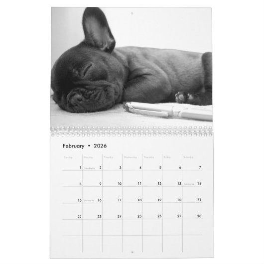 Französischer Bulldog-Kalender 2023 - Schwarz-weiß Kalender (Feb 2026)