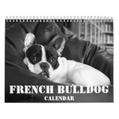 Französischer Bulldog-Kalender 2023 - Schwarz-weiß Kalender (Titelbild)