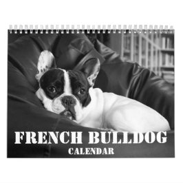 Französischer Bulldog-Kalender 2023 - Schwarz-weiß Kalender
