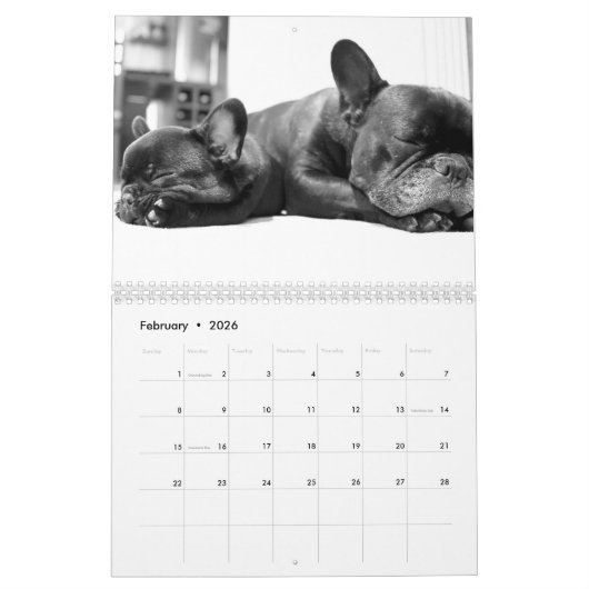 Französischer Bulldog-Kalender 2026 - Design Kalender (Feb 2026)