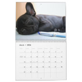 Französischer Bulldog-Kalender 2026 mit Fotos Kalender (Mär 2026)