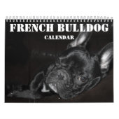 Französischer Bulldog-Kalender 2026 mit Fotos Kalender (Titelbild)