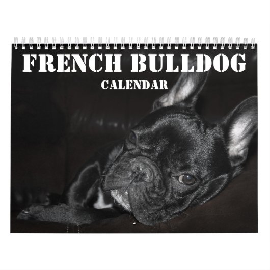 Französischer Bulldog-Kalender 2026 mit Fotos Kalender (Titelbild)
