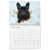 Französischer Bulldog-Kalender 2026 mit Fotos Kalender (Jan 2026)