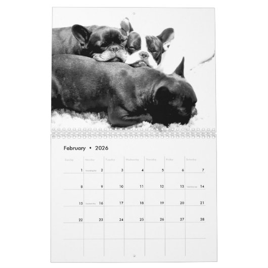 Französischer Bulldog-Kalender 2026 - Schwarz und Kalender