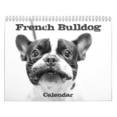 Französischer Bulldog-Kalender 2026 - Schwarz und Kalender