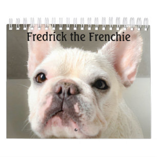Französischer Bulldog-Kalender-Fredrick der Franz Kalender