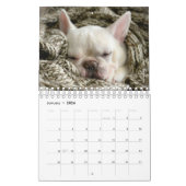 Französischer Bulldog-Kalender - Fredrick the Fren Kalender (Jan 2026)