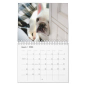 Französischer Bulldog-Kalender - Fredrick the Fren Kalender (Mär 2026)