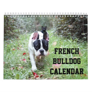 Französischer Bulldog Kalender Fügen Sie Ihre Foto