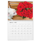 Französischer Bulldog Kalender für Hundefreunde! (Feb 2026)