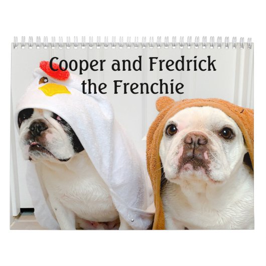 Französischer Bulldog Kalender für Hundefreunde! (Titelbild)