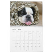 Französischer Bulldog Kalender für Hundefreunde! (Jan 2026)
