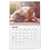 Französischer Bulldog-Kalender Kalender (Mär 2027)