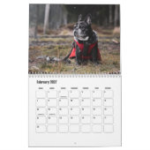 Französischer Bulldog-Kalender Kalender (Feb 2027)