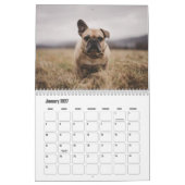 Französischer Bulldog-Kalender Kalender (Jan 2027)