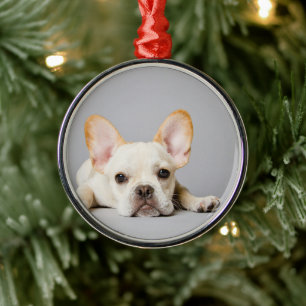 Französischer Bulldog Lächeln Ornament Aus Metall