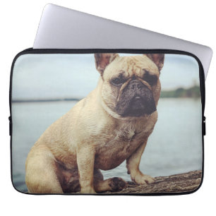Französischer Bulldog Laptopschutzhülle