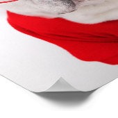 Französischer Bulldog mit Brille und rotem Shirt Poster (Ecke)