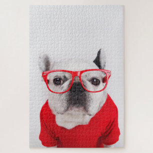 Französischer Bulldog mit Brille und Shirt Puzzle
