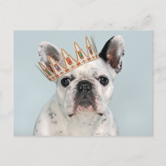 Französischer Bulldog mit Krone Postkarte (Vorderseite)