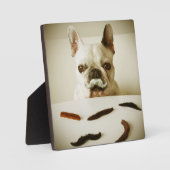Französischer Bulldog mit Mustache Fotoplatte (Vorderseite)