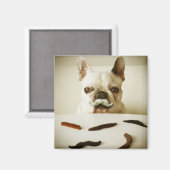 Französischer Bulldog mit Mustache Magnet (Vorderseite/Rückseite)