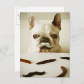 Französischer Bulldog mit Mustache Postkarte (Vorne/Hinten)