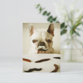 Französischer Bulldog mit Mustache Postkarte (Stehend Vorderseite)