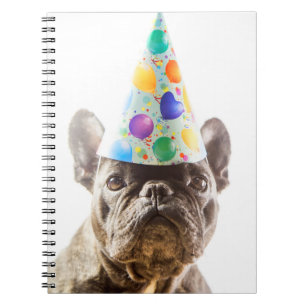 Französischer Bulldog mit Party Hat Notizblock